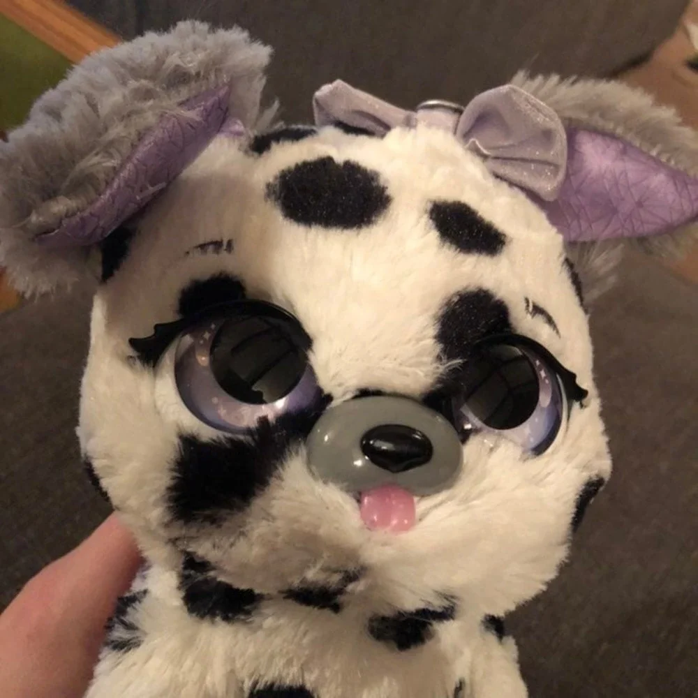 N/A present pets